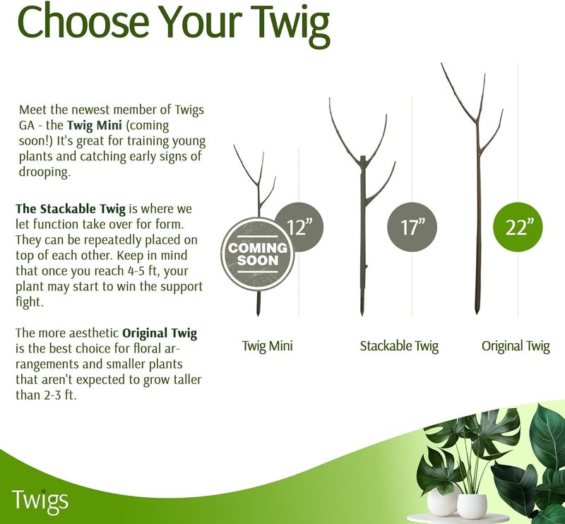Twigs Ga دعامات دعم النباتات للاستخدام الداخلي والخارجي، بديل متين للتعريش للنباتات المتسلقة والمزروعة في الأصص، هياكل حامل سيقان النباتات - حجر القمر، 3 عبوات، 22 بوصة، أصلي - Image 4